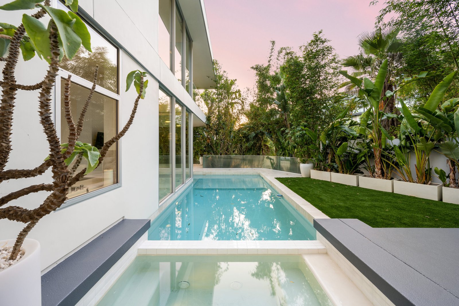 A Backyard pool with surrounding greenery and a tree